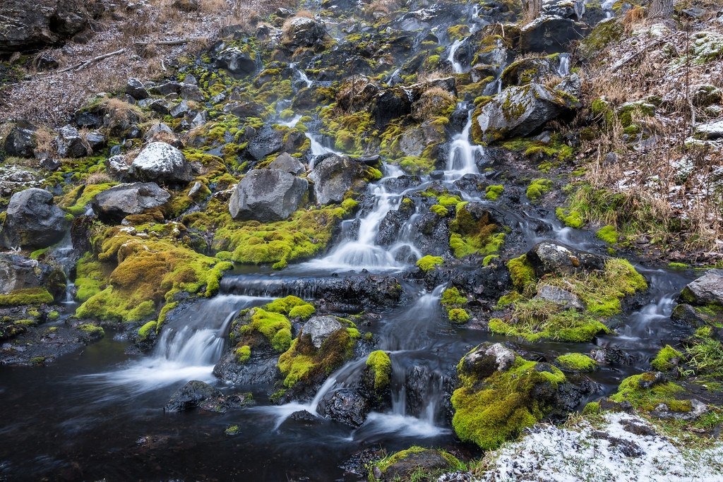 🌳 유노타키 공원 (유노타키코엔) 이미지 6